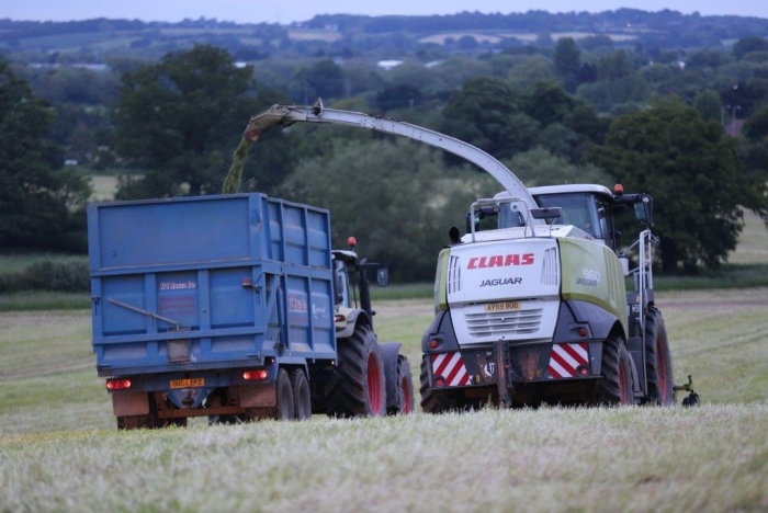 Frist Cut Grass Silage 2014